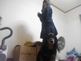 1353670953067.jpgのサムネール画像