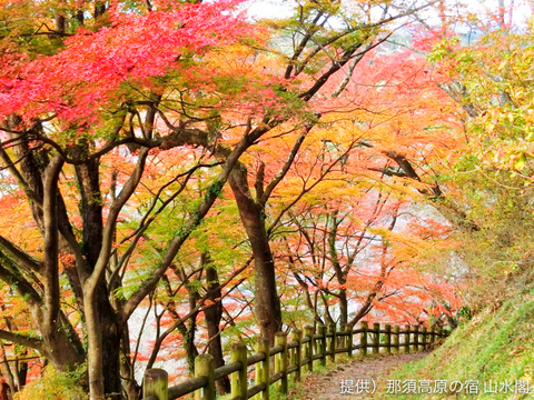 芦野御殿山.jpg