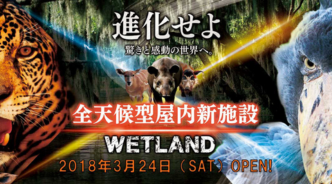 wetland14.jpg