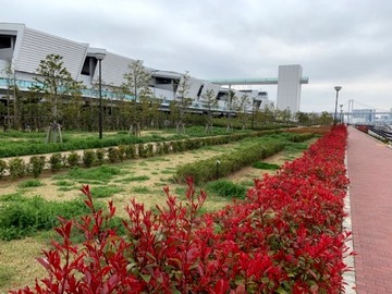 presen_20190406_Suzuki_03_toyosu.jpg