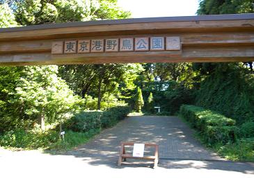 Ｂ東京港野鳥公園.JPG