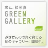 GREEN GALLERY - みなさんの写真で育てる緑のギャラリー、開催中。