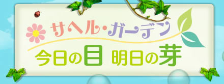 サヘル・ガーデン 今日の目明日の芽