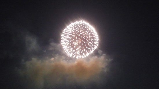 立川の昭和記念公園花火大会