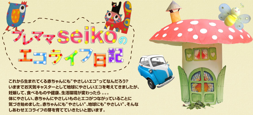 プレママseikoのエコライフ日記