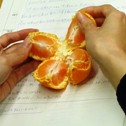 20100203_mikan_04_12.jpg