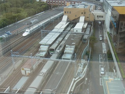 ygm-RIMG5468.jpg