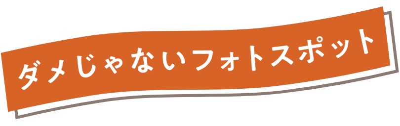 ダメじゃないフォトスポット