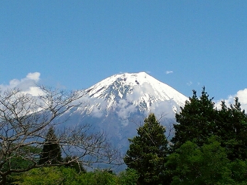 富士山