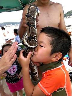 リュウ、ヘビにチュー...