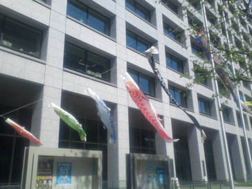 koinobori.jpg