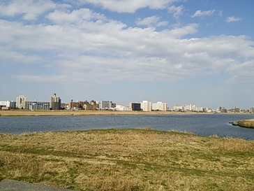 tamagawa.JPG