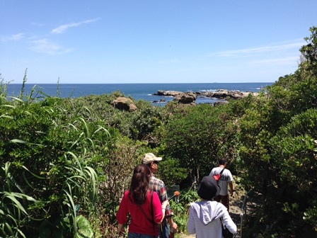 仁右衛門島（景色）.jpg