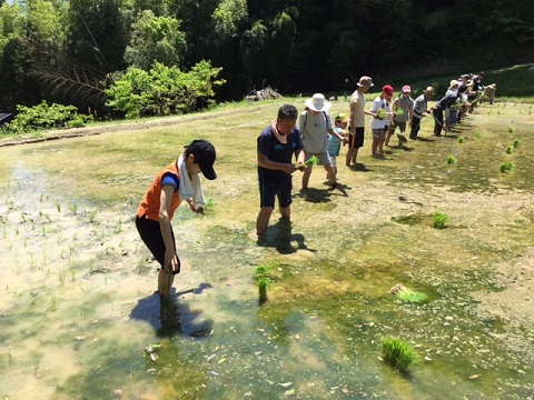 田植え①.jpg