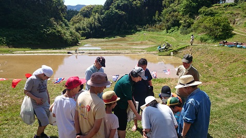 田植え③.jpg