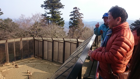 高尾山・サル山②.JPG