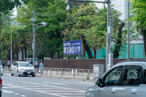 44hal_20190510-9B_03245_Sony.jpg