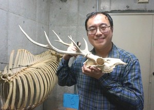 遠藤教授空調室でシカの頭骨をもつ.jpg