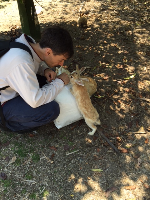 うさぎと遊ぶアーサーさん.JPG