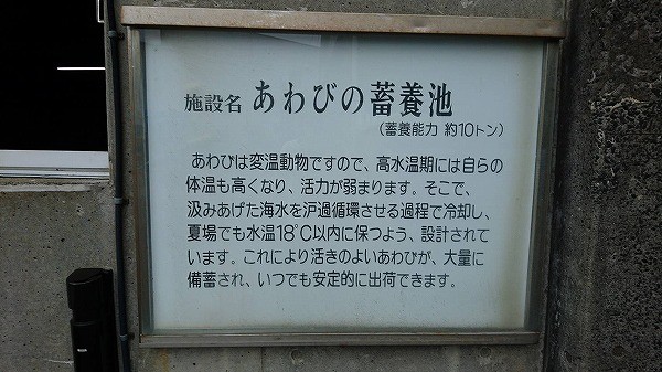 サキー20191010 (23).jpg