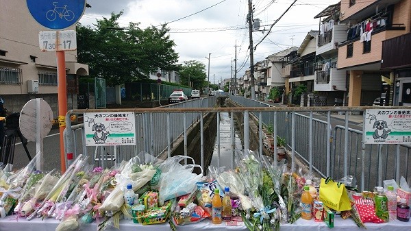 一美20180620ー大阪地震 (8).JPG