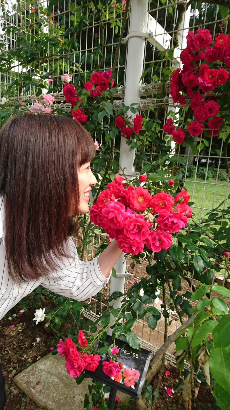 代々木公園１.jpg