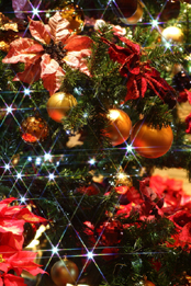クリスマス