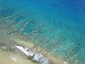 海