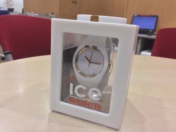 icewatch4.JPG