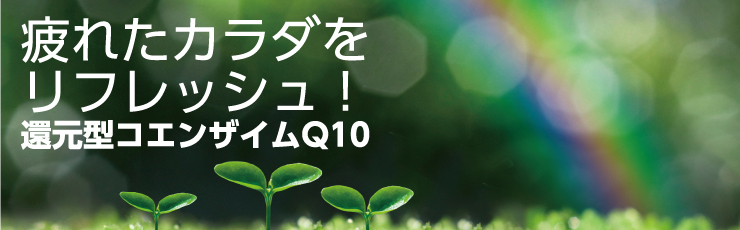 還元型コエンザイムQ10