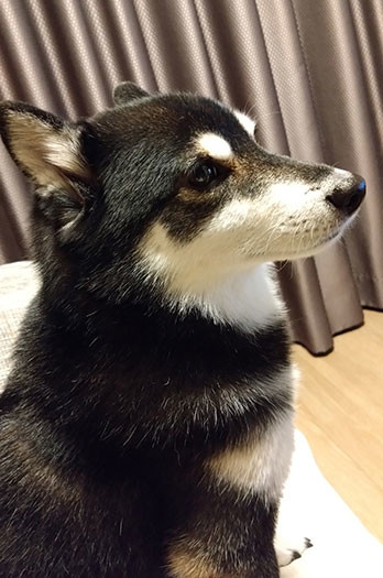 紋次郎写真