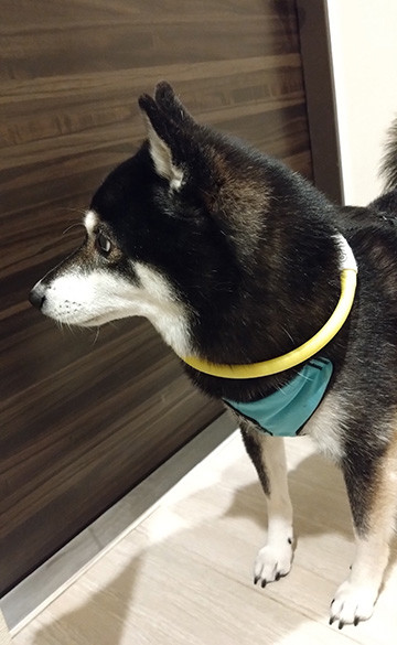 紋次郎写真