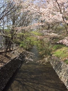 玉川上水