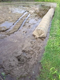 田植え前