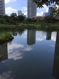 夏の佇まい