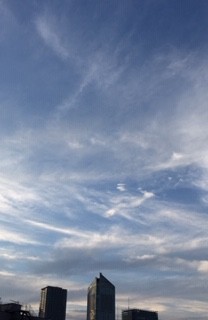 処暑の空