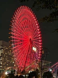 夜空の曼珠沙華