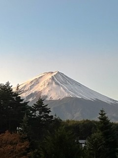 朝日を浴びて