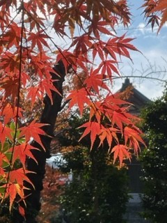 晩秋を味わう