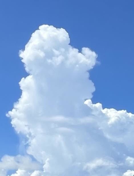 夏空