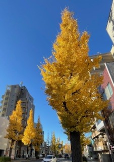 今年も揃いました