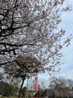 一足先に桃の花