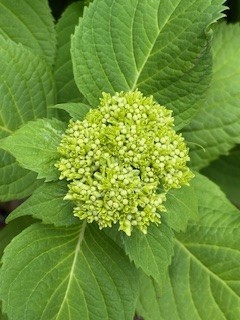 着々と