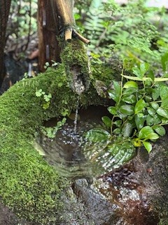 水の季節