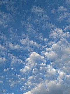 梅雨明け