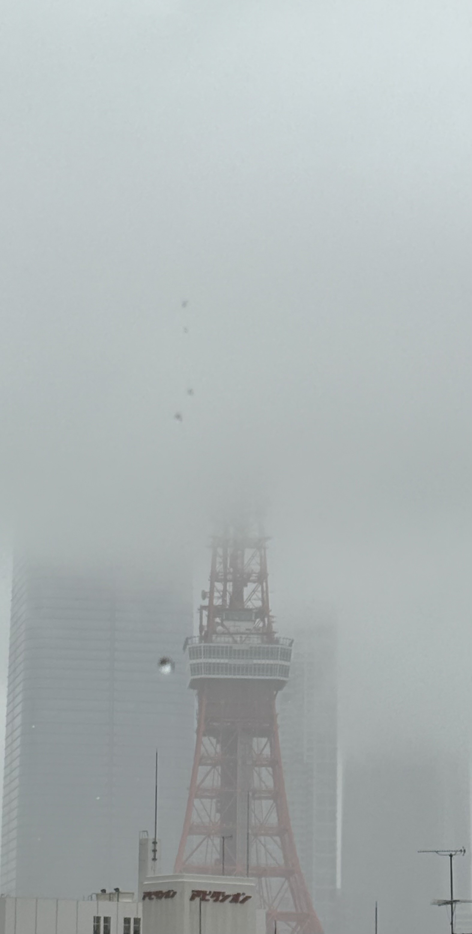 豪雨の景色