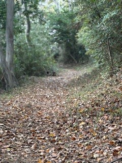 やはり気になる