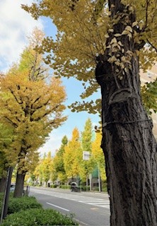 ここには出まい