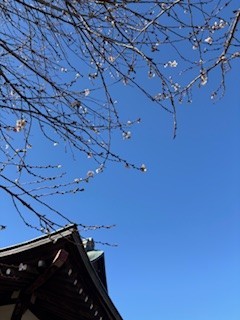 早くも春の気配