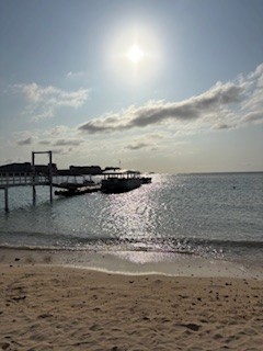 また明日は来る